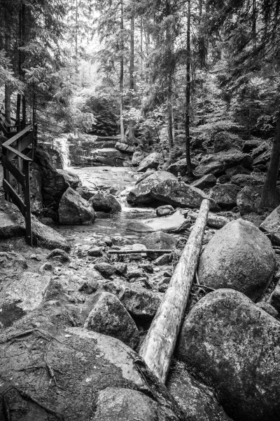 Eine wilde Naturlandschaft in schwarzweißem-sepia.
